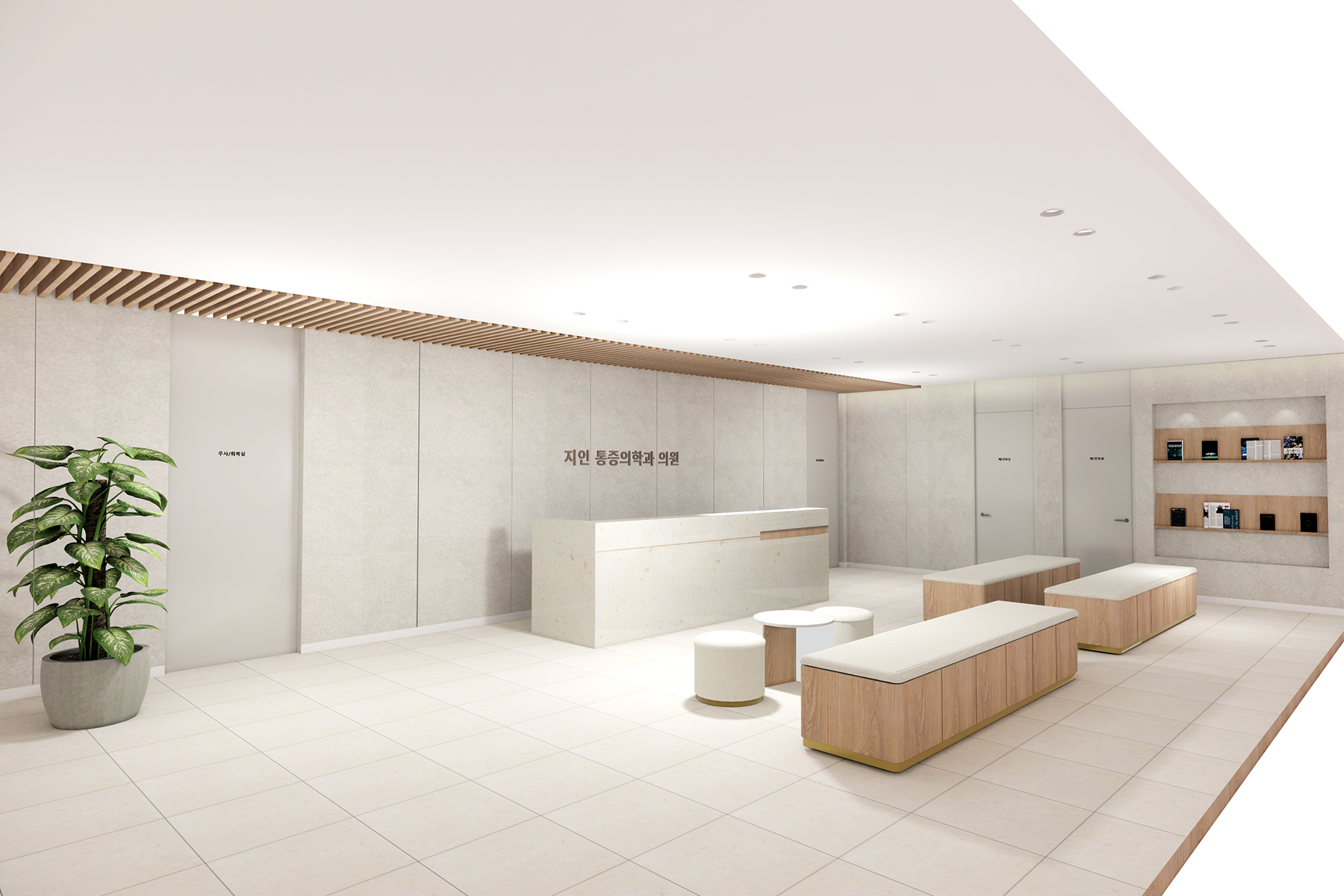 ZIN ZEROPAIN-CLINIC
